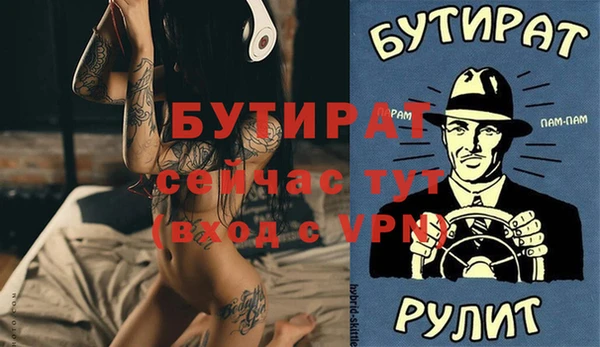 индика Дмитров