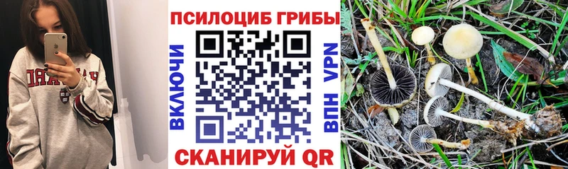 Галлюциногенные грибы Magic Shrooms  Череповец 